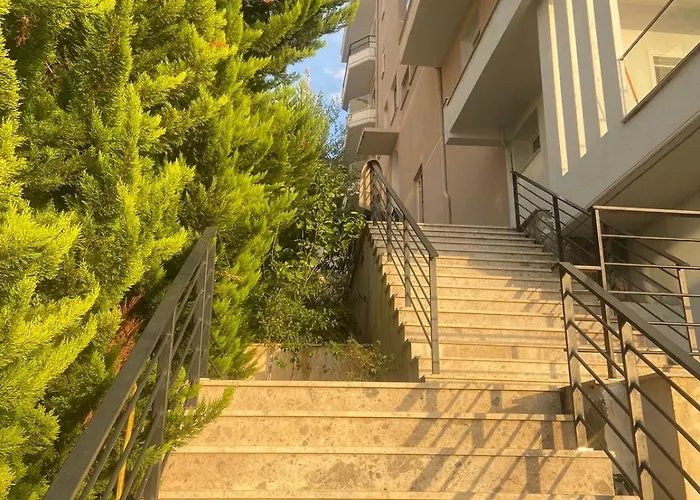 Sara House
